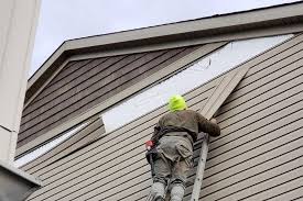 Best Custom Trim and Detailing for Siding  in Nixon, PA